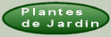 Plantes de Jardin