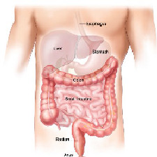COLON