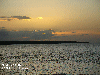 Suriname river New Amsterdam 