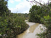 Stream in the Savanna