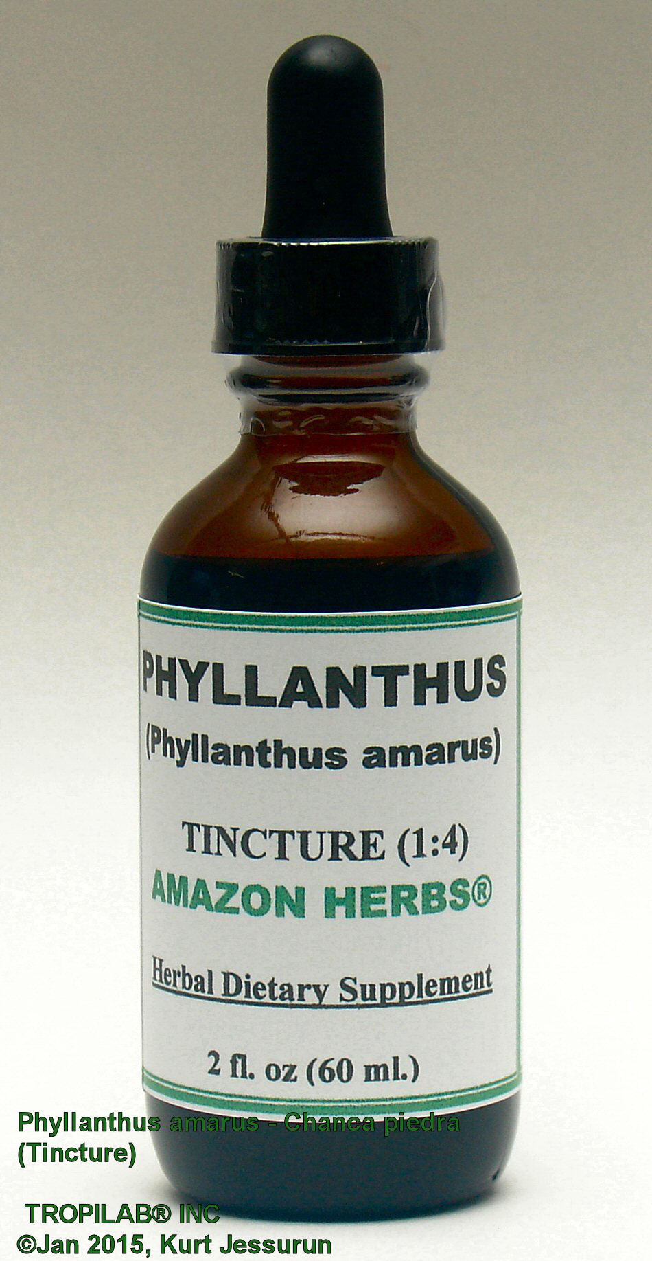 Phyllanthus amarus, Chanca piedra herbal tincture; is used extensively for liver, kidney and gall bladder
 function. Also used against diabetes, frequent menstruation, gonorrhea, gout and jaundice.