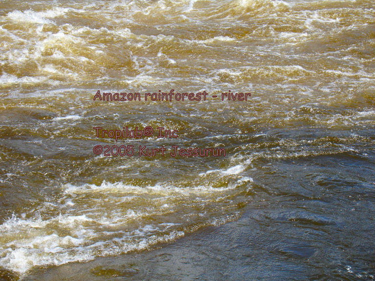 Flowing river in the Amazon rainforest