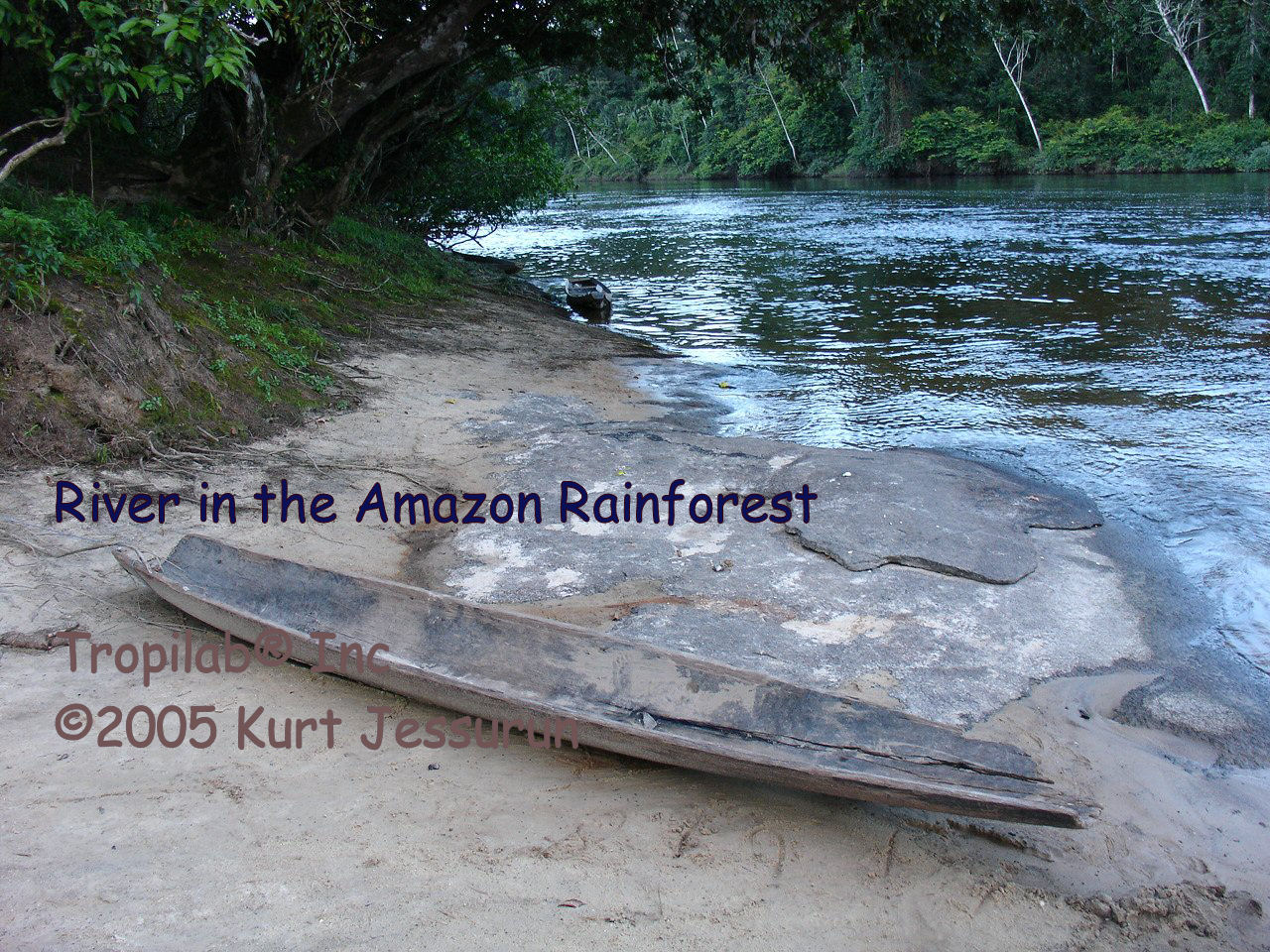 River in the Amazon rainforest