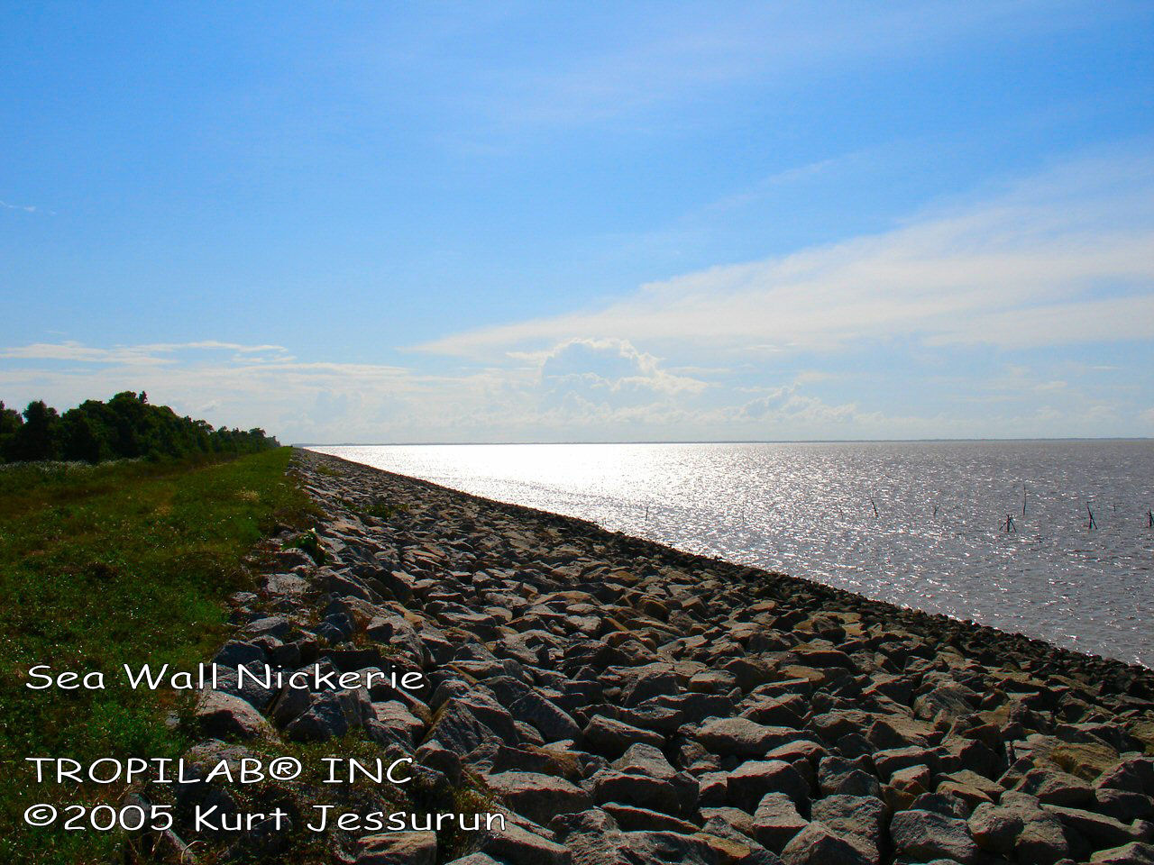 Sea wall Nickerie