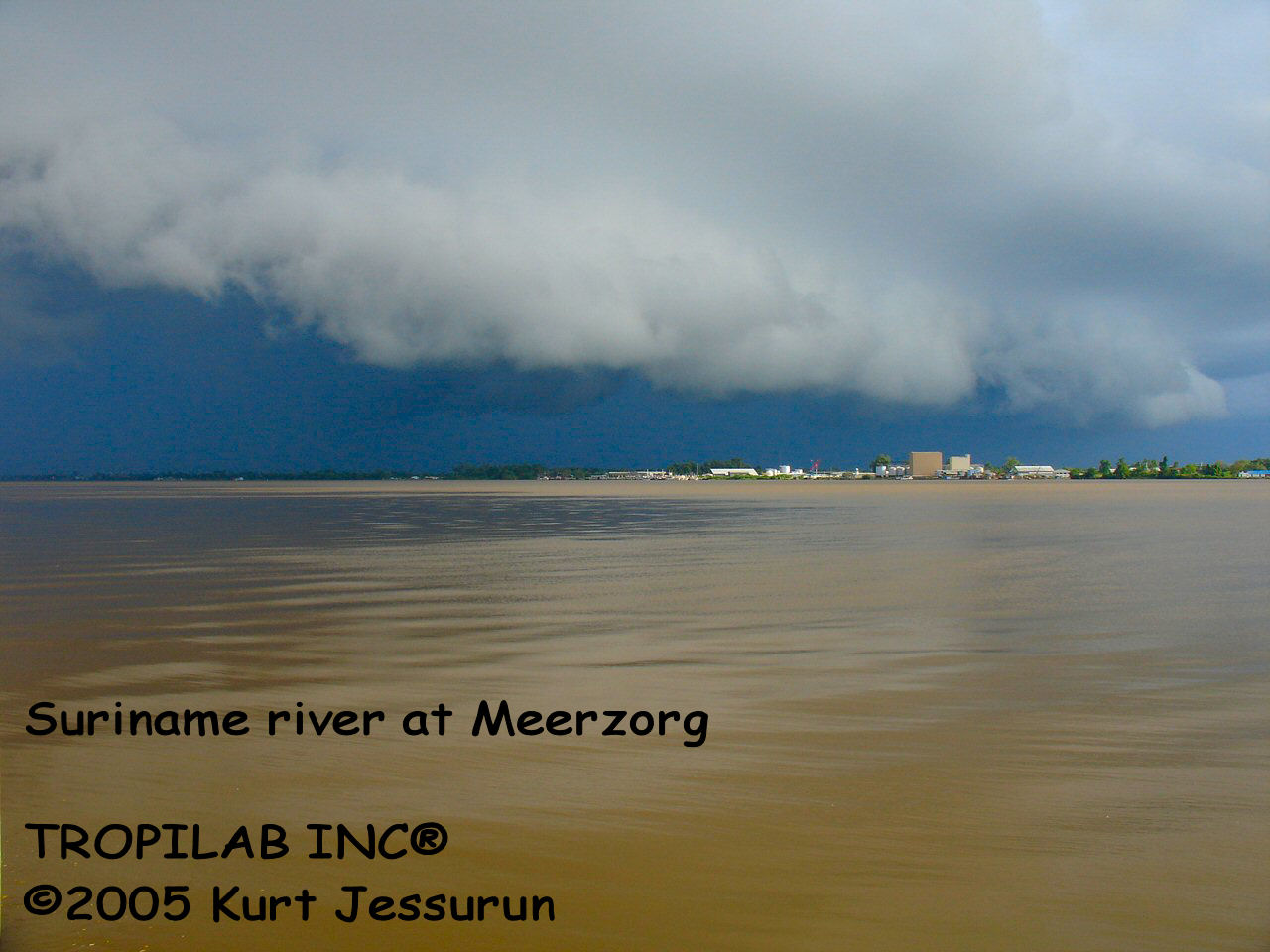 Suriname river at Meerzorg