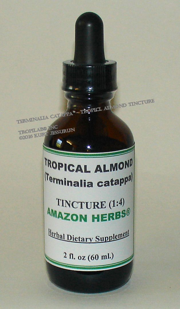 Terminalia catappa - Tropical almond tincture, (Tropilab).