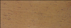 spanishcedar